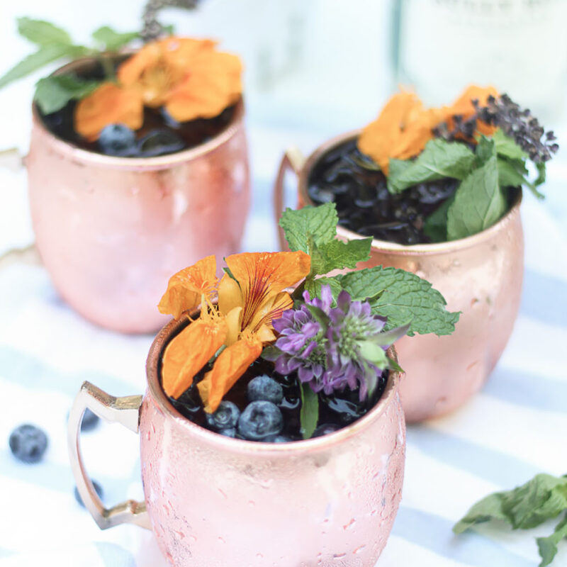 Blueberry Gin Mule Featured Image