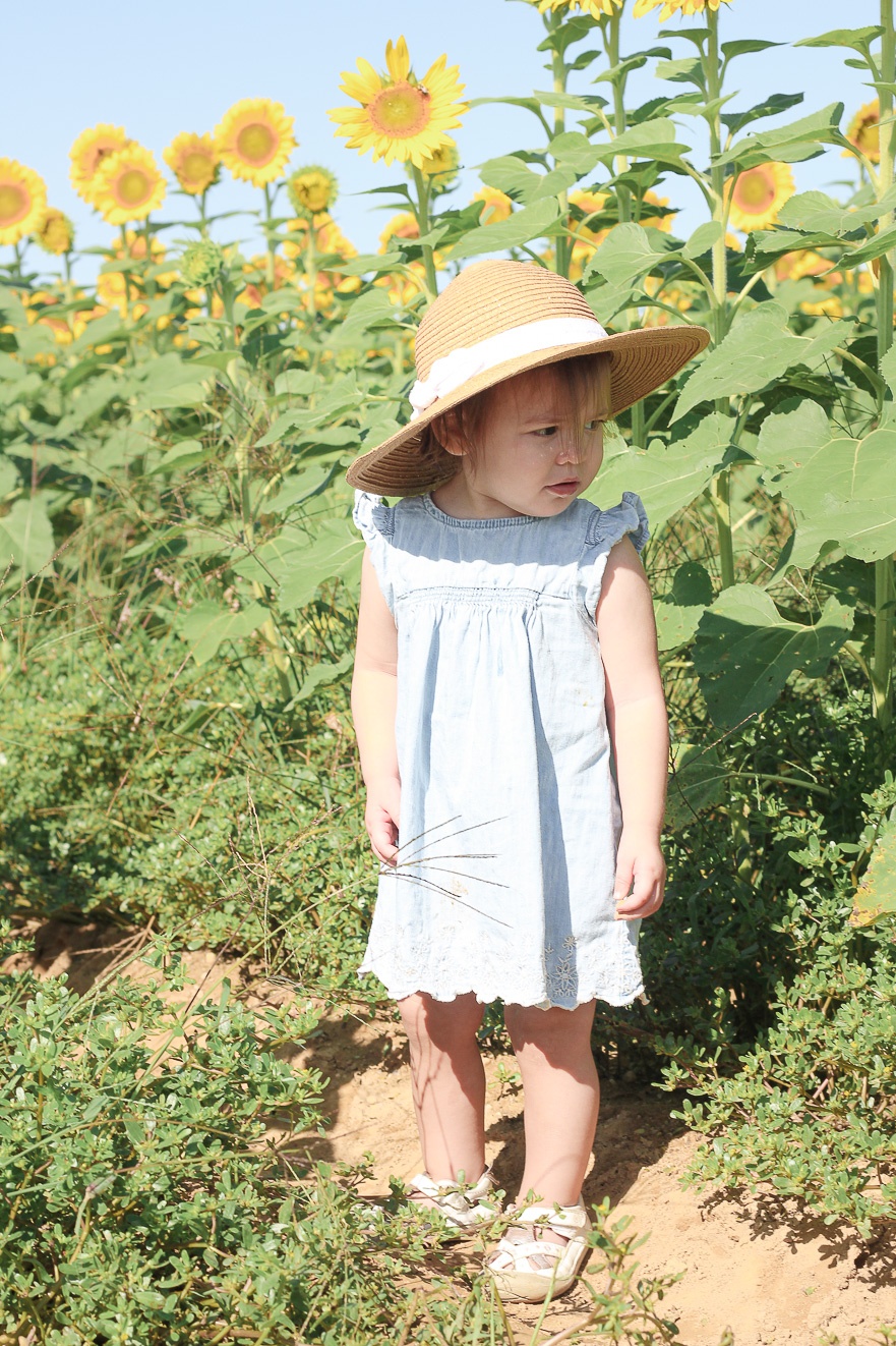 Austyn in the sunflower fields