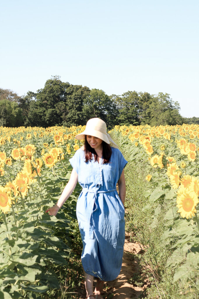 alone in the sunflower fields