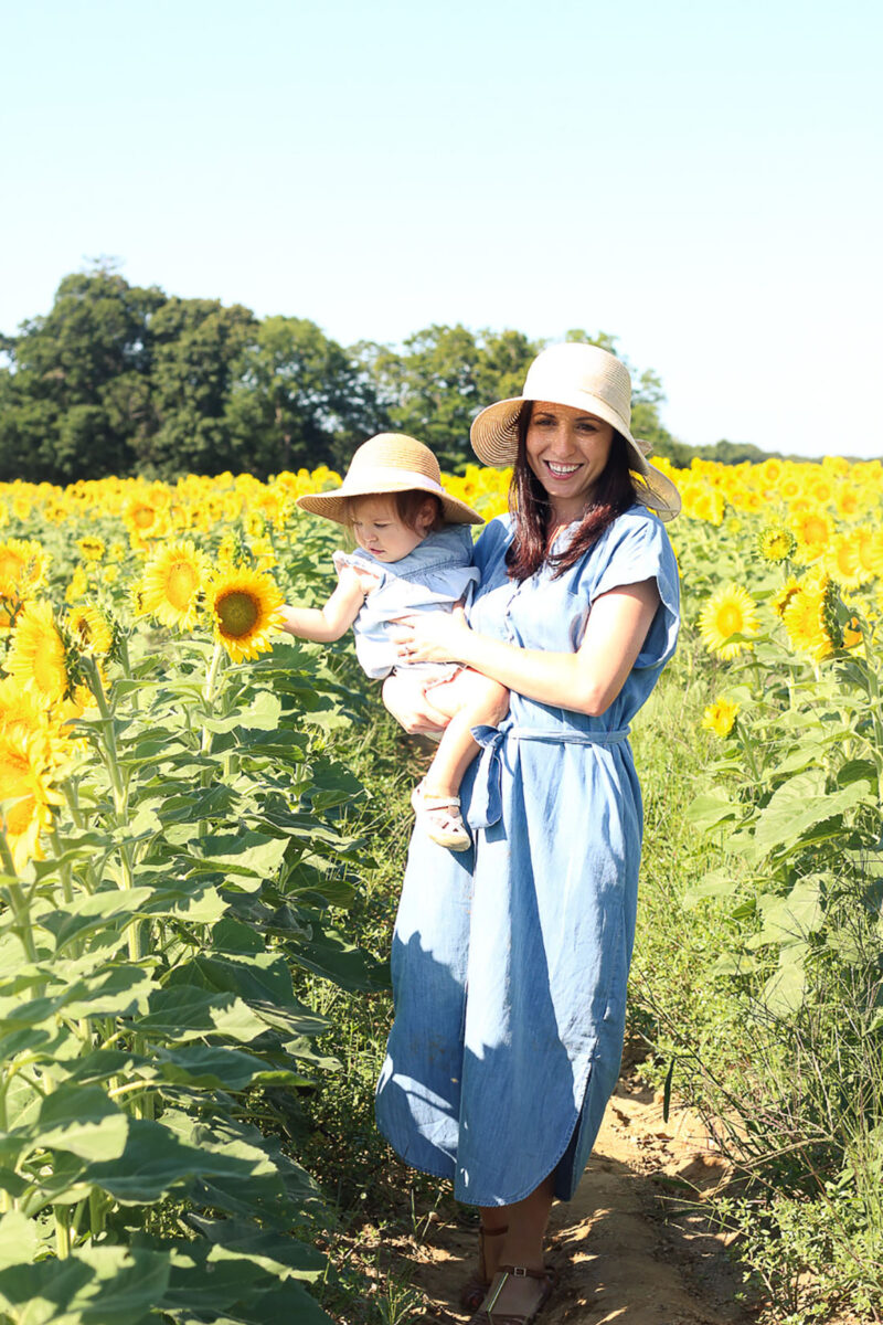 Sunflower Maze at Sidor Farms Featured Image