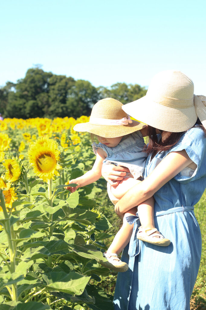 holding Austyn in the sunflower fields