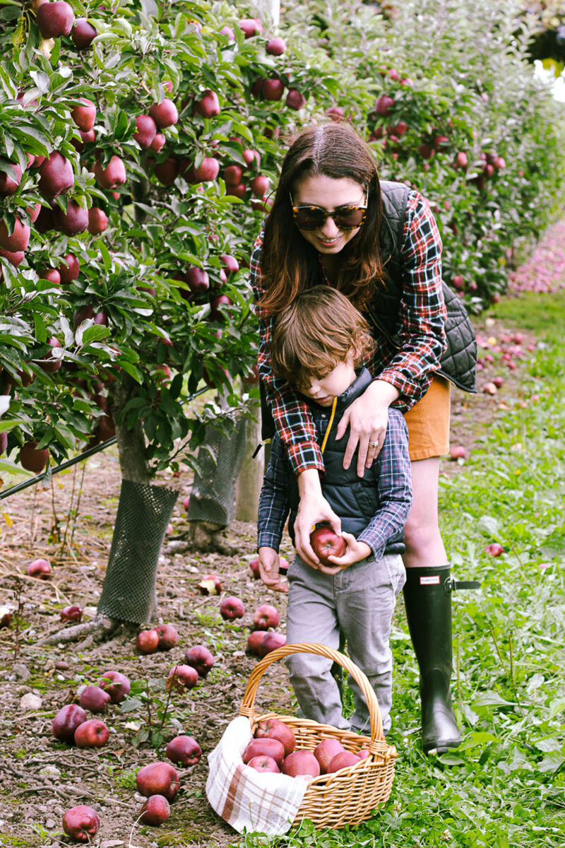 Apple Picking Belkin Family Lookout Farm