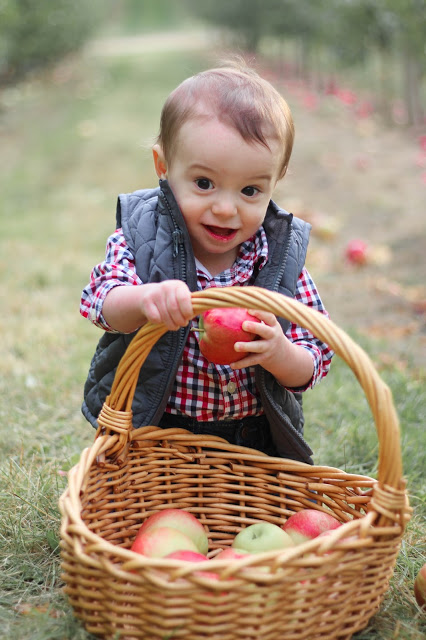 Apple Picking Outfit