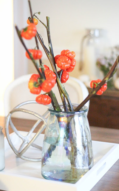 Fall Touches to Your Home on a Budget