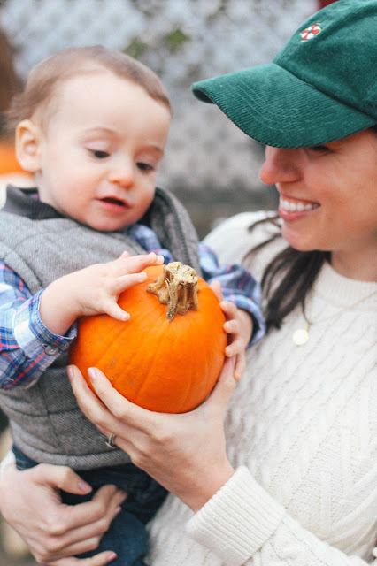 pumpkin patch