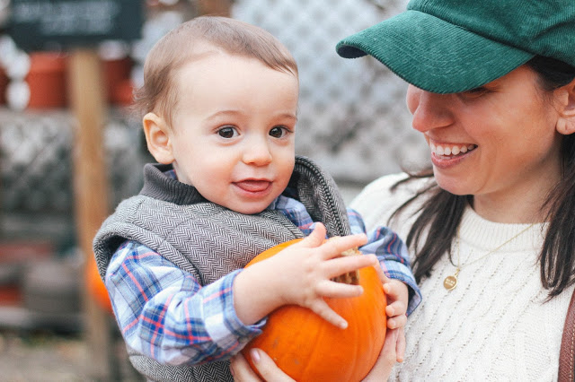 pumpkin patch