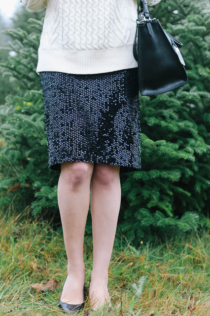 Sequin Skirt