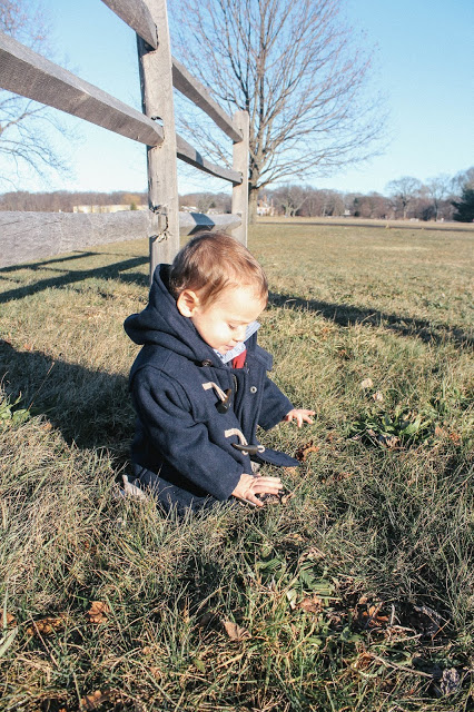 Caumsett State Historic Park