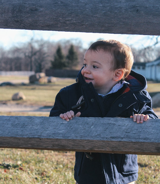 Caumsett State Historic Park