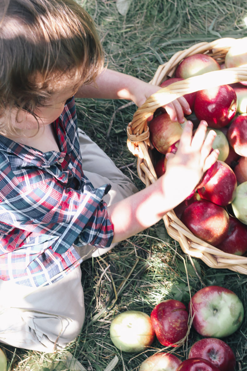 My Favorite Activities To Do In The Fall