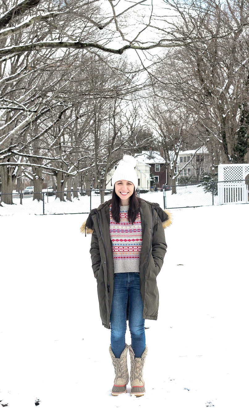 A snowy March day in Brookline Massachusetts