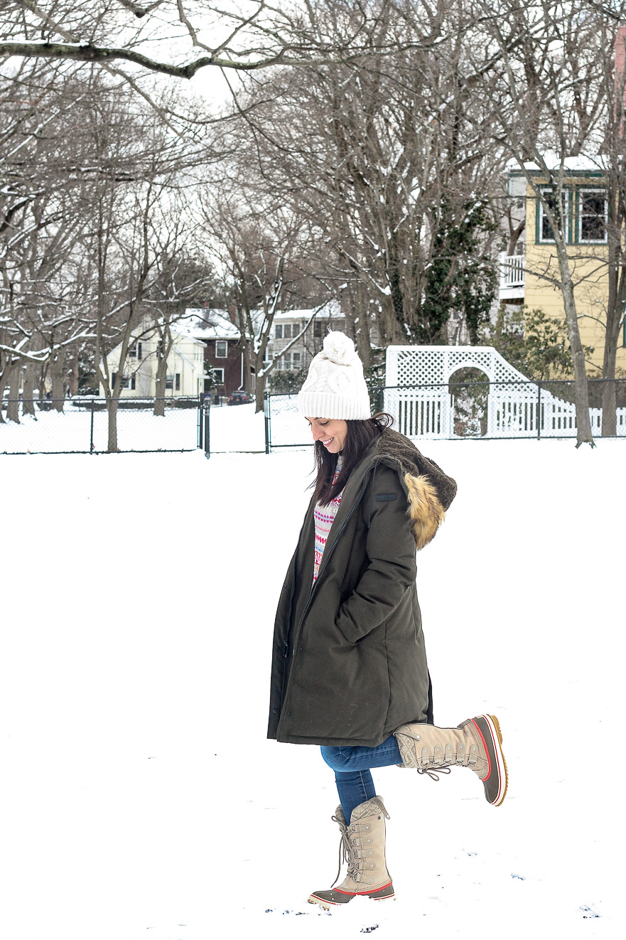 A snowy March day in Brookline Massachusetts