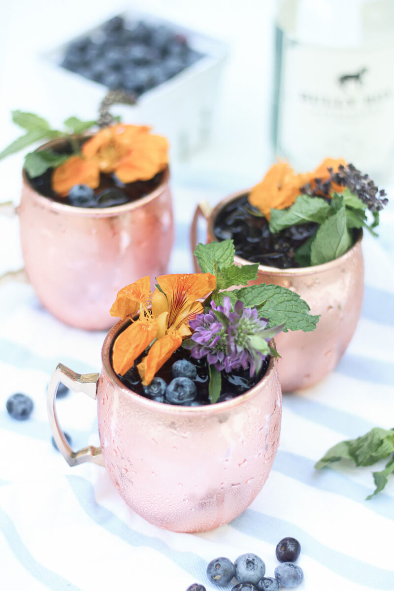 Blueberry Gin Mule Featured Image